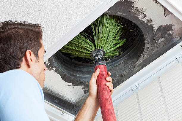 Best Duct Cleaning for Offices  in Sheldon, IA