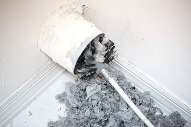 Best Affordable Air Duct Cleaning  in Sheldon, IA