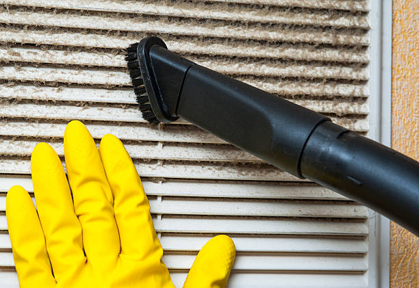 Best Air Duct Sanitizing Services  in Sheldon, IA